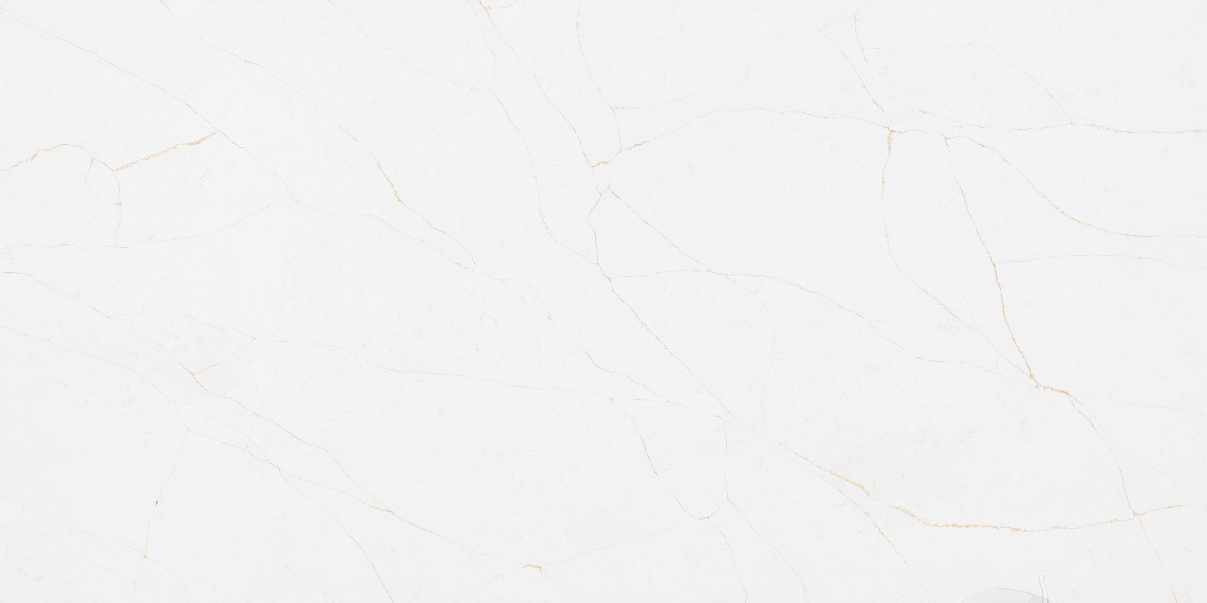 Calacatta Attera Gold